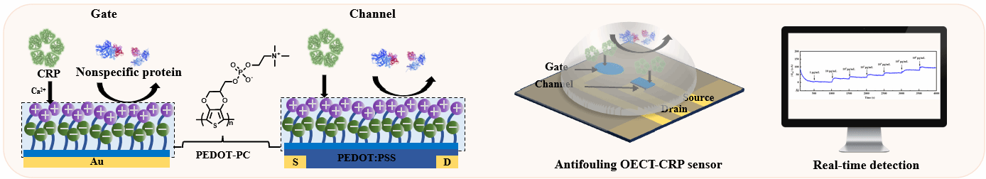 CA88(�й���)Ψһ�ٷ���վ