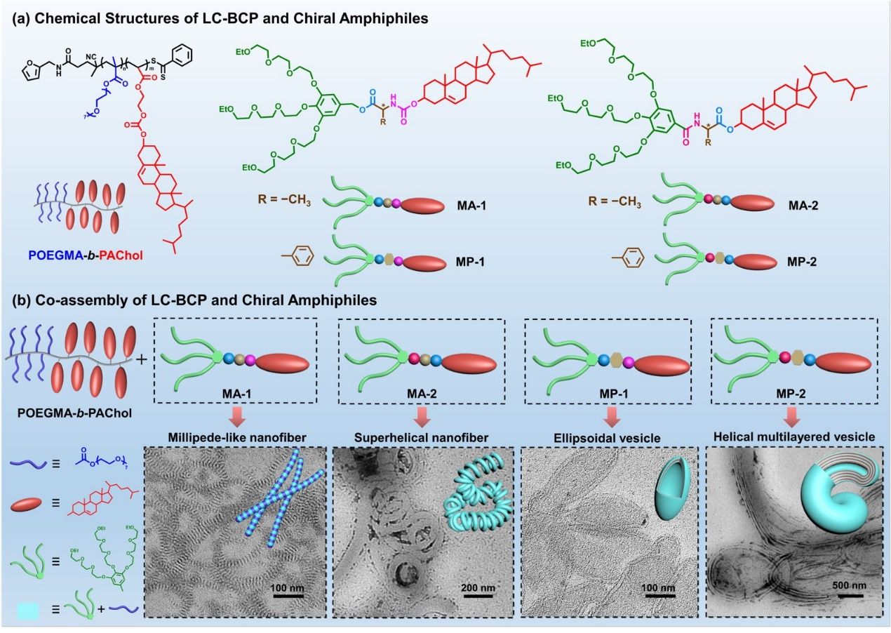 B131569129D174010FB688ED25F_61FD0C87_322D8
