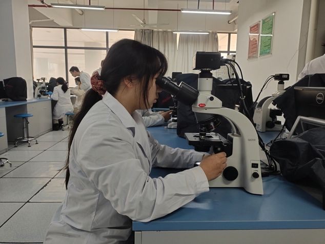 813CA9E1D3E17E483F5A84F837C_5AD9384F_C2E2 813CA9E1D3E17E483F5A84F837C_5AD9384F_C2E2