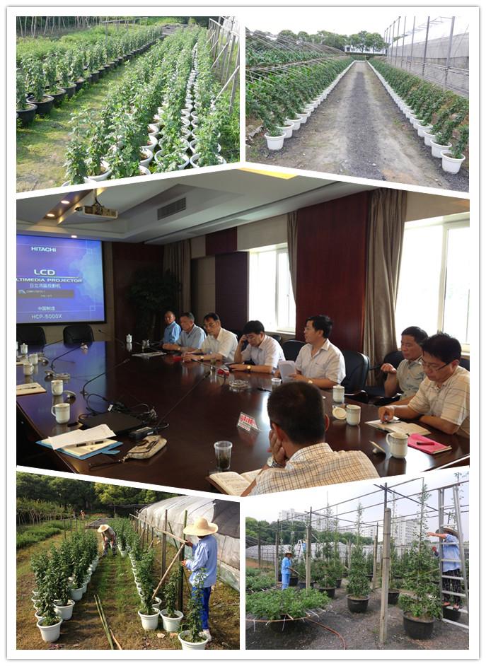 F34D1024557B8279238781748E4_87D7C5C0_213B7.jpg?e=