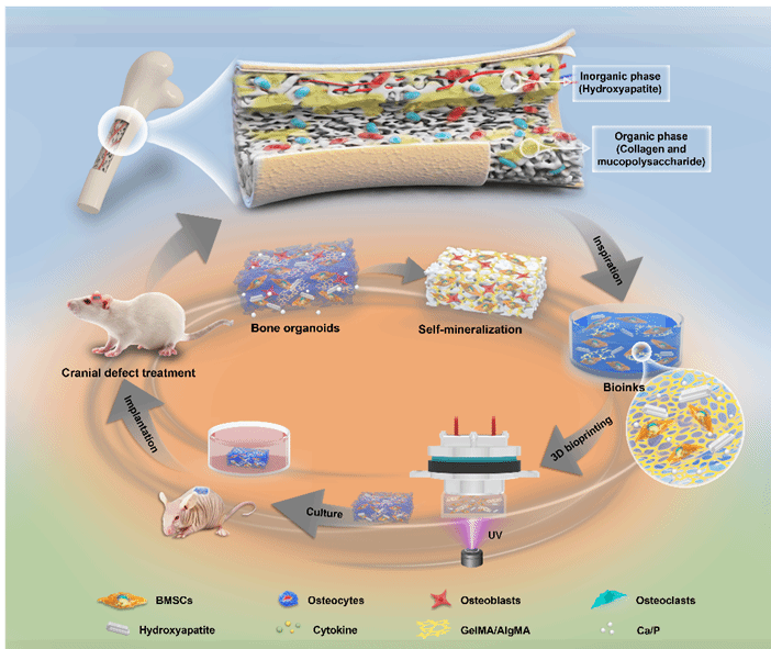CA88(ÖйúÇø)Ψһ¹Ù·½ÍøÕ¾