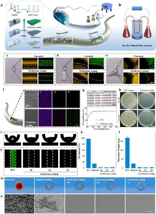 59F5B4A06EE72A7BC6B77129683_2730AA47_5040B 59F5B4A06EE72A7BC6B77129683_2730AA47_5040B