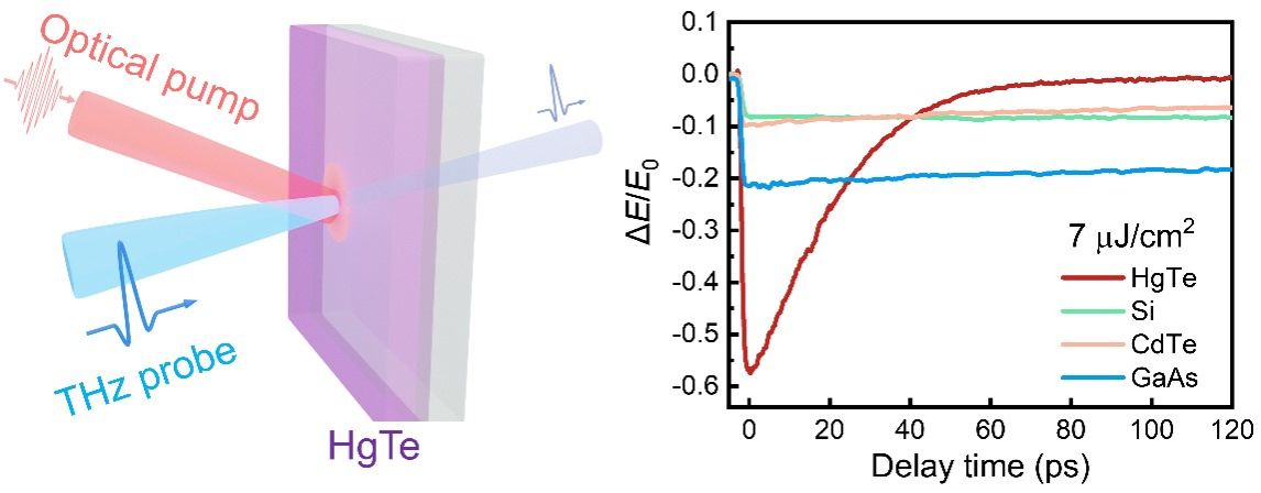 20251203-21.jpg 20251203-21.jpg