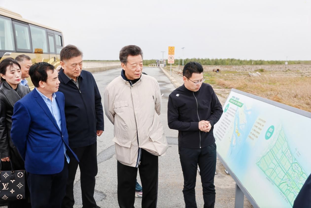 008EFC87B87A3A96B5AFD8451C8_6F8AC775_1CE55