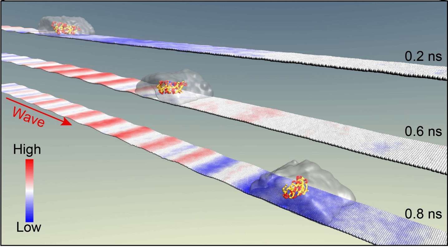 CA88(�й���)Ψһ�ٷ���վ