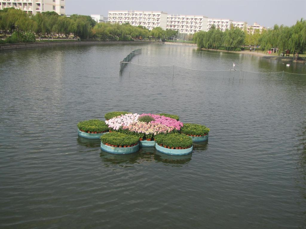 CA88(�й���)Ψһ�ٷ���վ