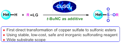 CA88(�й���)Ψһ�ٷ���վ