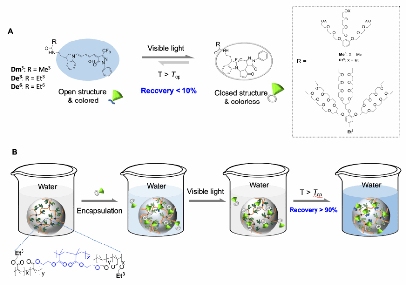 1FE77A4F514CAC9D94ADC96737B_A2B09215_DD73