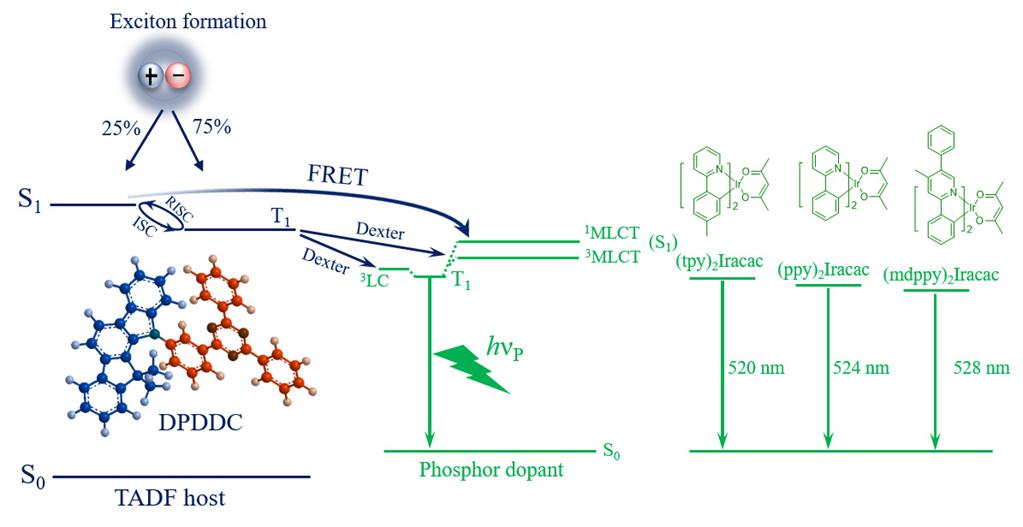 CA88(�й���)Ψһ�ٷ���վ