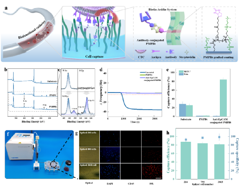 7B39BE4B11292C868F36F854187_90AC0E40_1F7B4 7B39BE4B11292C868F36F854187_90AC0E40_1F7B4