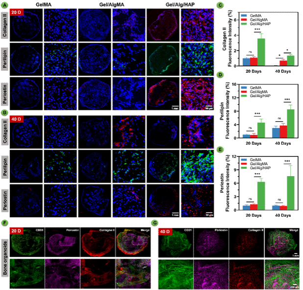 CA88(ÖйúÇø)Ψһ¹Ù·½ÍøÕ¾