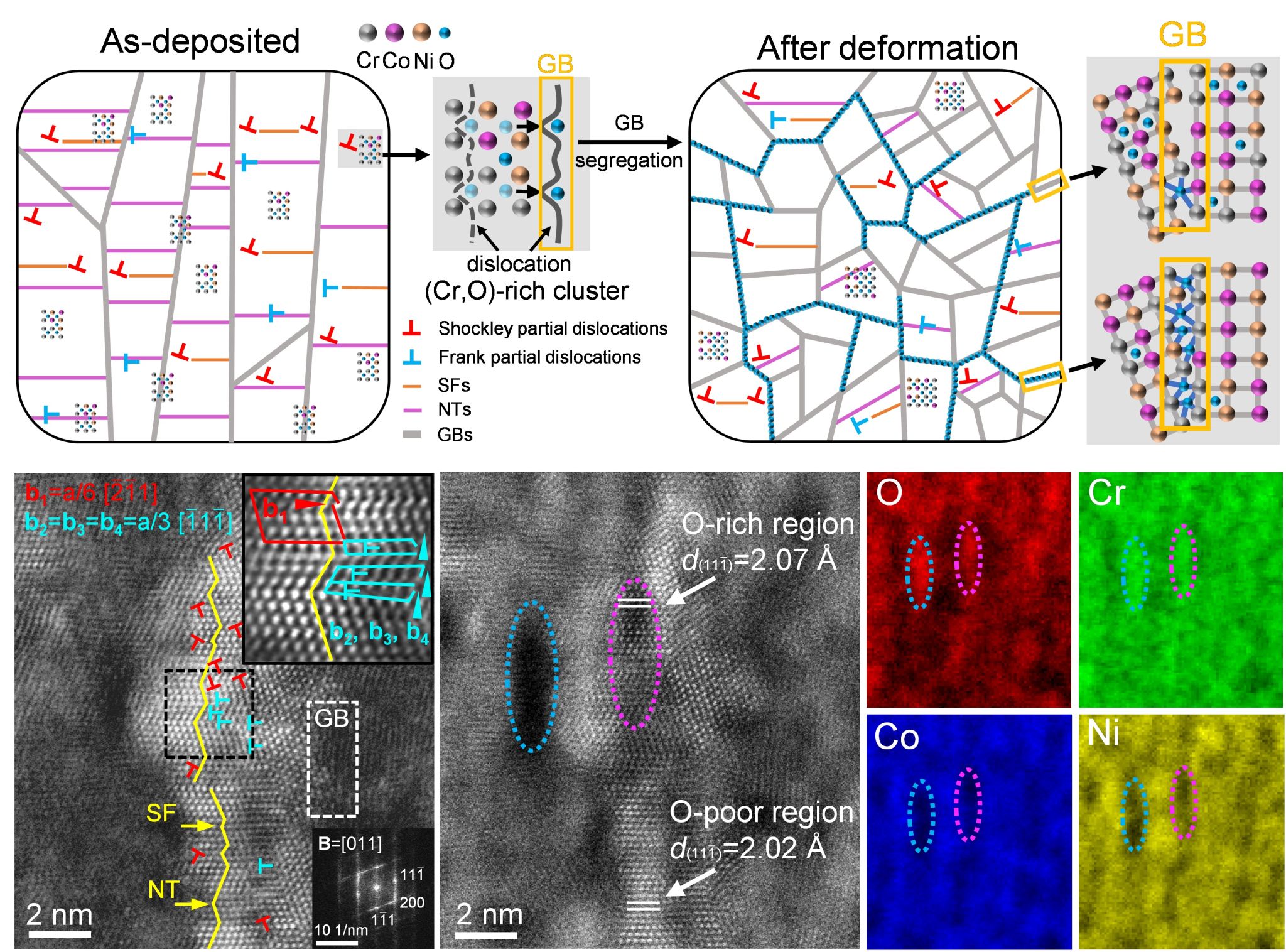 F54C84A600C987DA87DB0A99BA0_072424DE_9185E