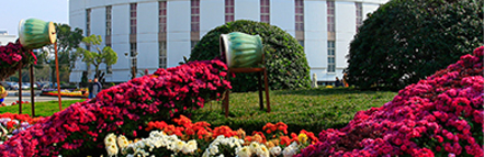 CA88(�й���)Ψһ�ٷ���վ