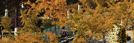 CA88(�й���)Ψһ�ٷ���վ