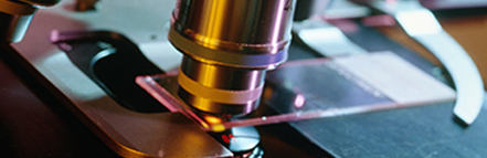 CA88(�й���)Ψһ�ٷ���վ